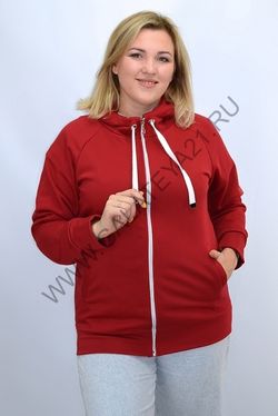 С-651-2 /Толстовка женская / без начёса