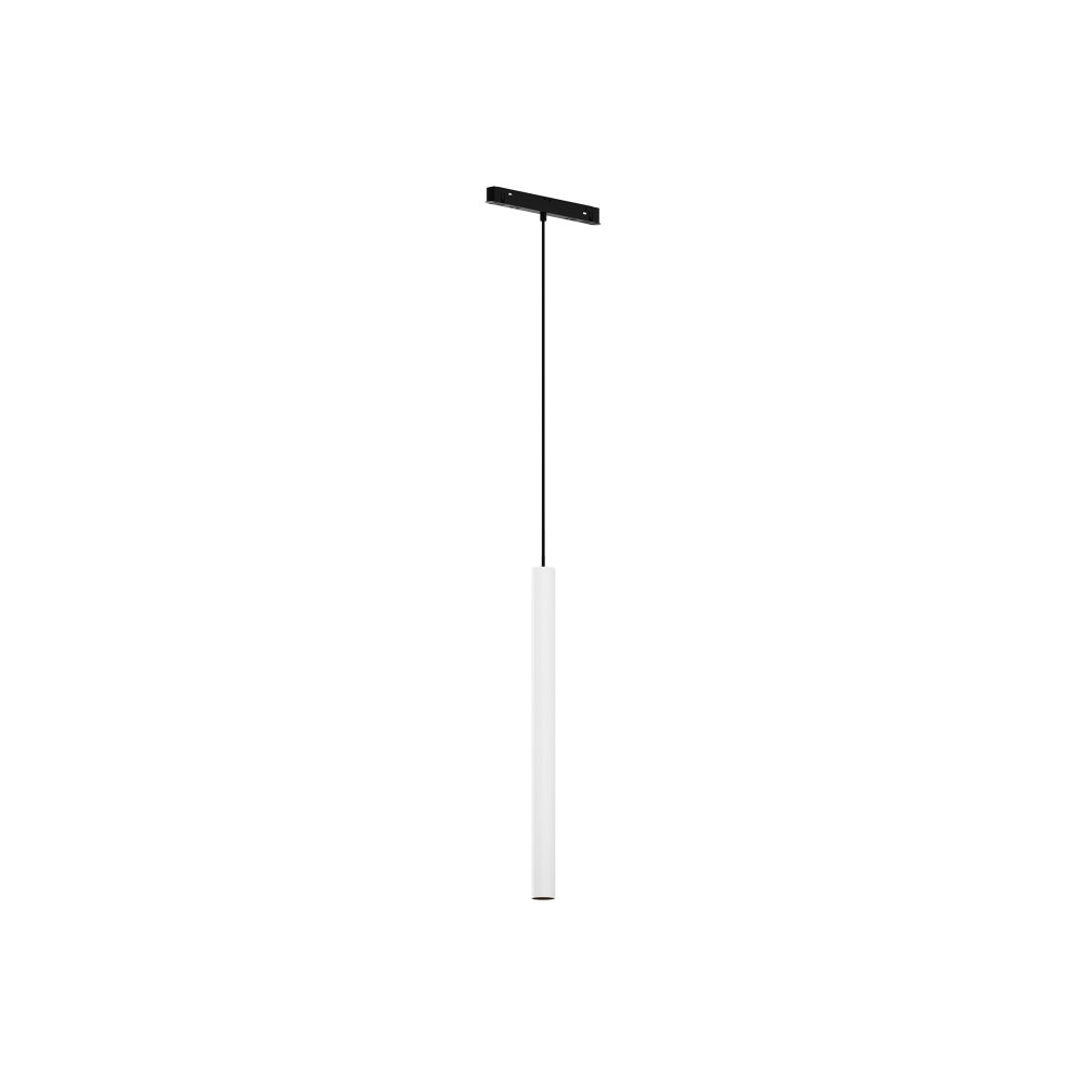 Магнитный трековый светильник Maytoni EXILITY Focus LED TR226-4-5WTW-M-DD2-W