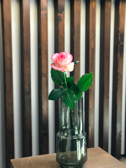 Роза России Джумилия