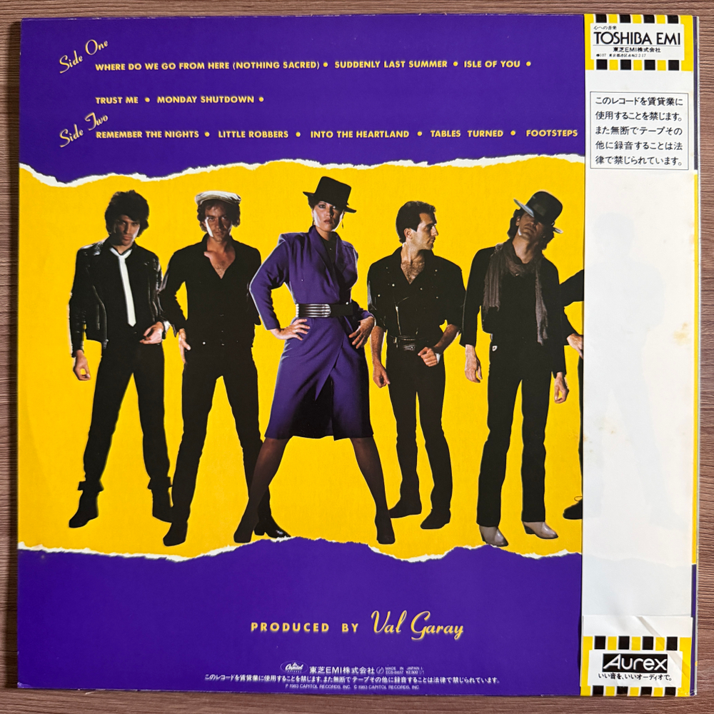 Виниловая пластинка The Motels – Little Robbers LP