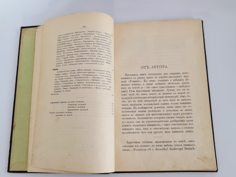 "Пернатые хищники. Популярные очерки из мира русских хищных птиц". Д.Н.Кайгородов. 1906 г.