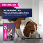 Сухой корм Eukanuba Puppy для щенков мелких и средних пород до 12 месяцев с ягненком 3 кг