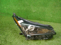 DSCN7987.JPG