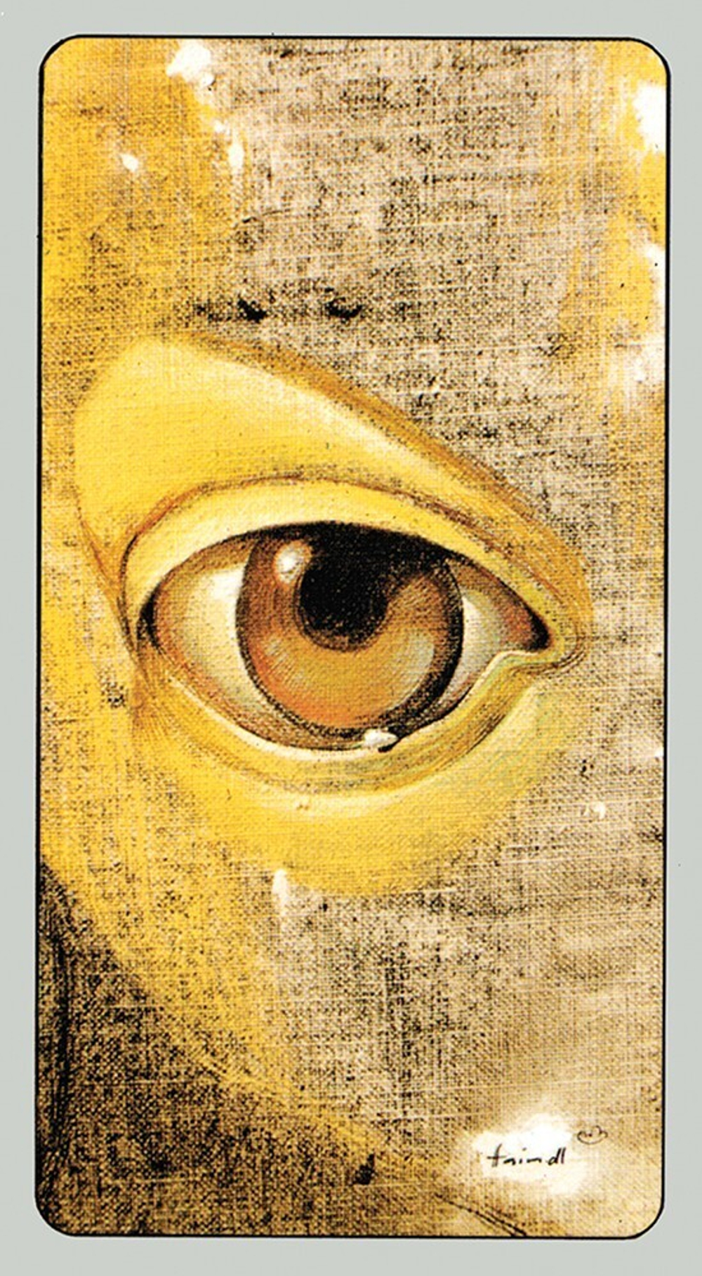 Haindl Tarot / Таро Хайндля