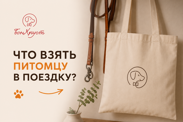 СОБИРАЕТЕСЬ В ОТПУСК С ПИТОМЦЕМ? СОБИРАЕТЕСЬ В ОТПУСК С ПИТОМЦЕМ?