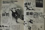 Hunter × Hunter Hunter's Guide Data Book