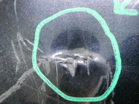 DSCN6967.JPG