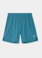 Мужские теннисные шорты RS Performance Shorts REC (AM-263-005)