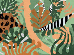 MATISSE 15