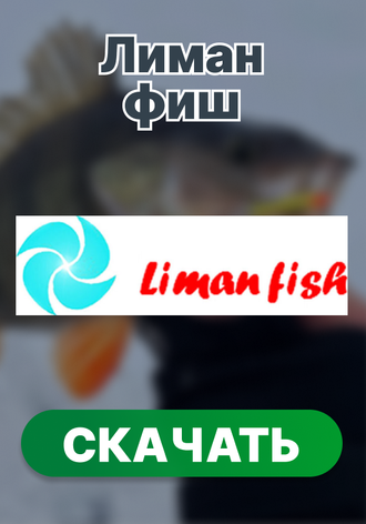 Жерлицы, носки и другая мелочь 