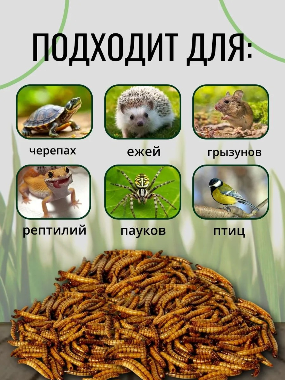 Консервированный зофобас ONTO, 40 г