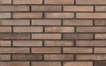 Кирпич клинкерный Plinfa Iron 2810, 270x85x50