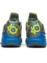 Заказать в Москве Nike KD 4 Scoring Title