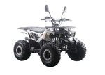 Квадроцикл MOTAX ATV Grizlik Premium 125
