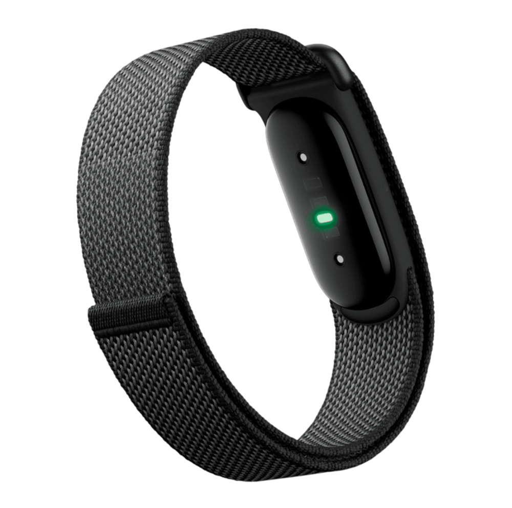 Фитнес-браслет Google Fitbit Air (Obsidean)