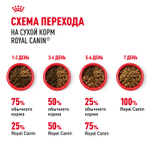 Royal Canin Dashshund Adult Такса Эдалт Корм сухой для взрослых собак породы Такса от 10 месяцев 1,5кг