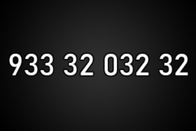 9333203232
