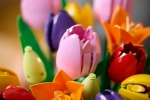 Конструктор LEGO Botanical Collection 11501 Tulip Bouquet