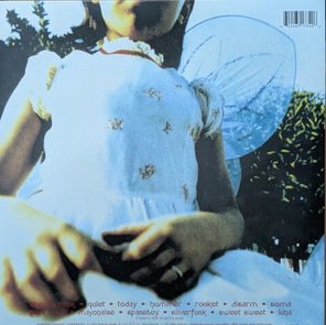 The Smashing Pumpkins / Siamese Dream (2LP)