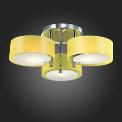 Светильник потолочный Evoluce Foresta SL483.092.03