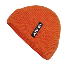 Зимняя шапка Adidas Terrex Cold.Rdy Merino