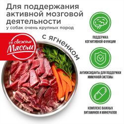 Корм сухой для взрослых собак очень крупных пород, премиум полнорационный комплекс, для активной мозговой деятельности, с ягненком, 12 кг, QUATTRO