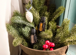 Эфирное масло dōTERRA Кедр, Cedarwood, 15 мл (АКЦИЯ)