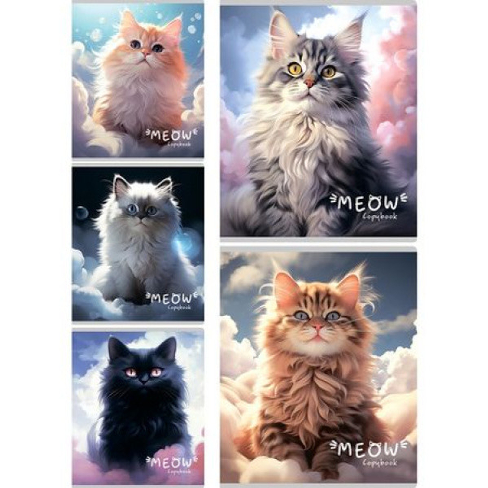 Тетрадь 48л кл. Collezione Воздушные котики, 5диз., 48-5143 *100