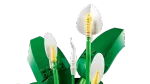 Конструктор LEGO Botanical Collection 11504 Peace Lily