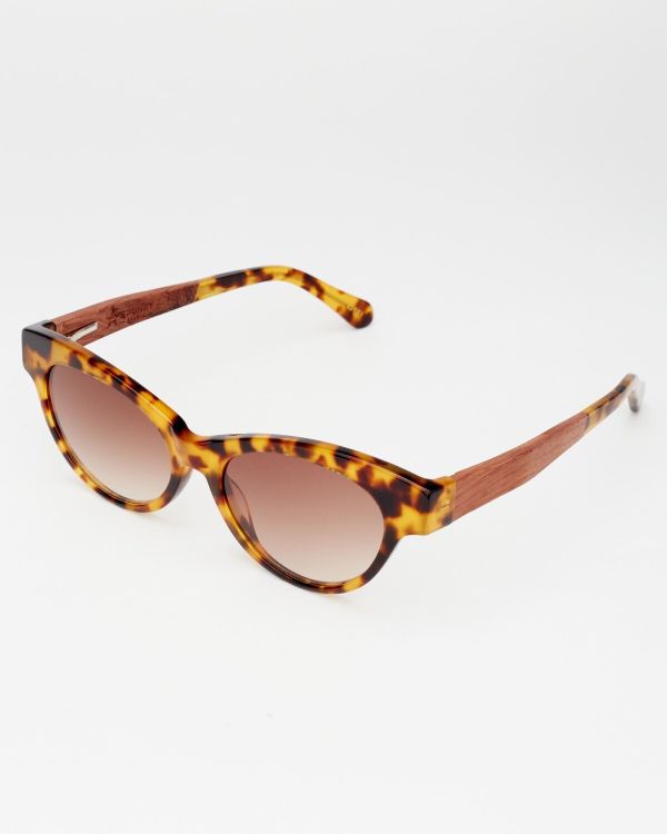 Очки солнцезащитные Spunky COCO 6 Tortoise. gradient brown - фото 3