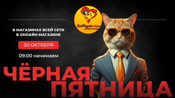 Чёрная пятница скидка на всё - 10%! 30 октября 2026 г.