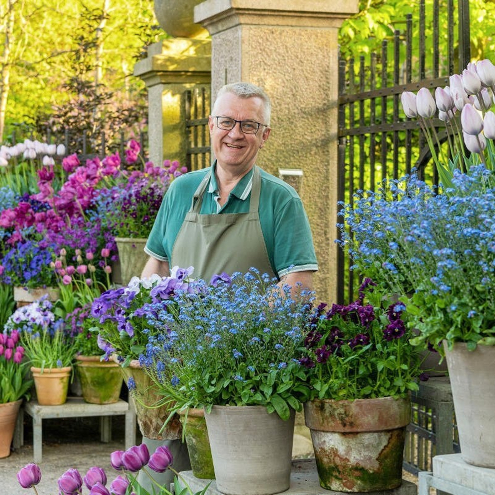 Containers in the Garden