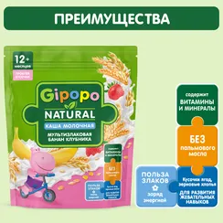 Каша Gipopo молочная мультизлаковая банан клубника 200г с 12 месяцев