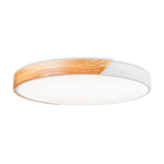 Потолочный светодиодный светильник Freya Sprida FR6129CL-L80W