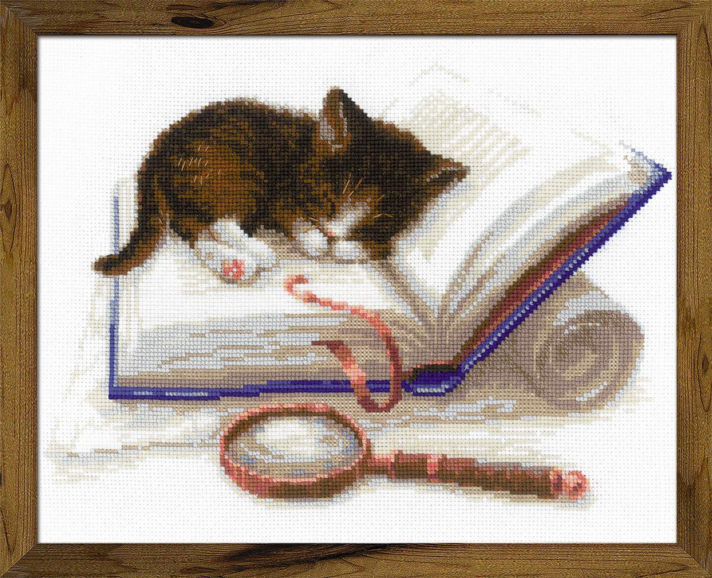 "Котенок на книжке"-1725 вышивка