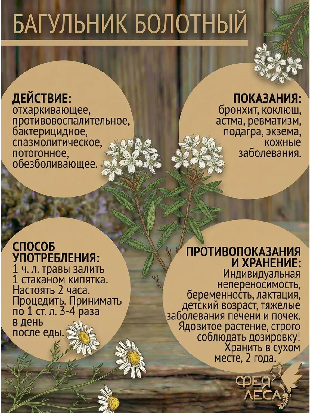 Багульник болотный (побеги) для очищения и защиты