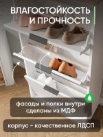 Закрытая обувница в прихожую ОБВ-69-1-11
