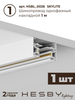 Комплект трековый Hesby Lighting Skylite No13 HSBL_kompl_S013_NI1W3K
