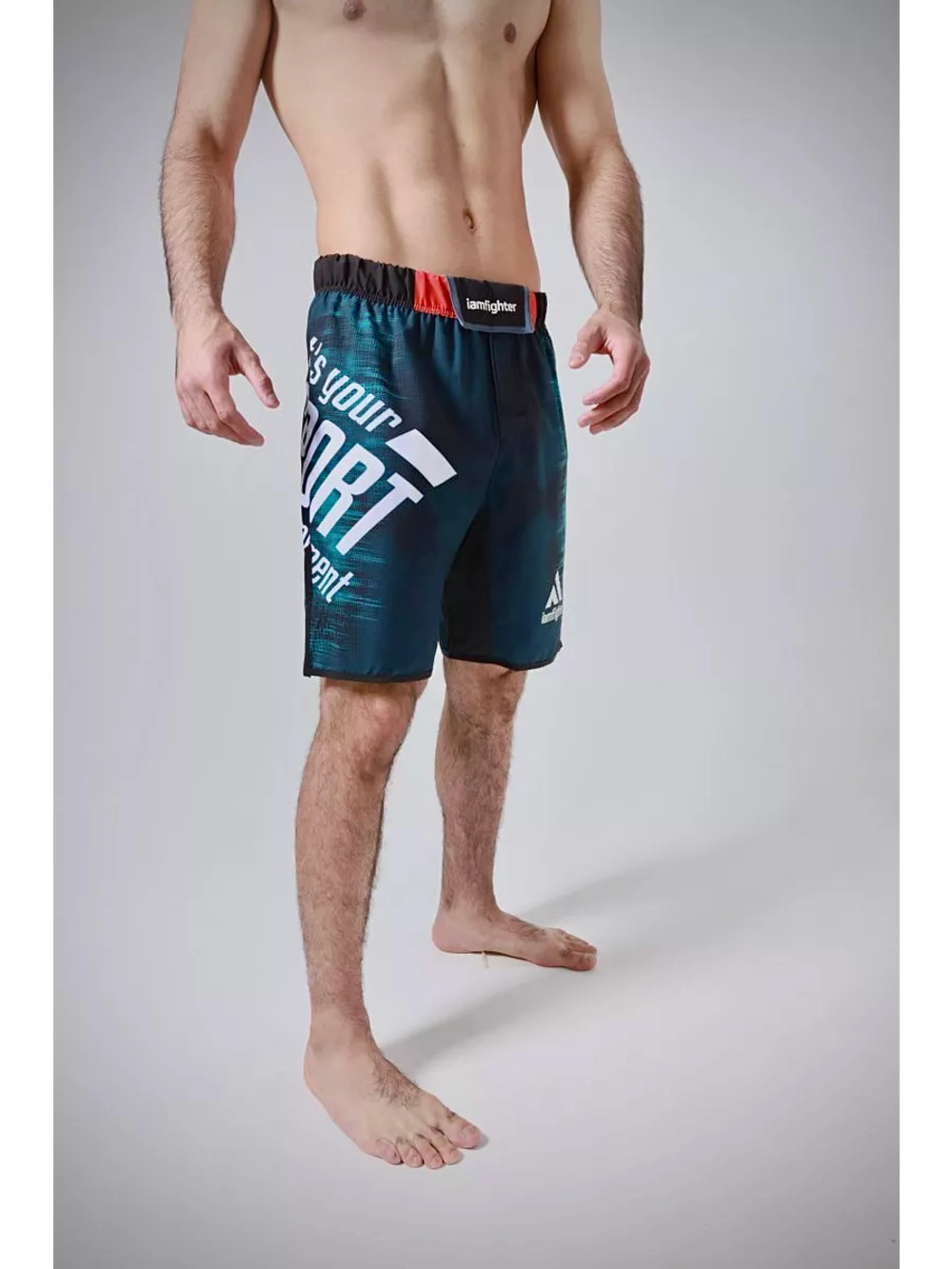 Шорты спортивные мужские для единоборств mma