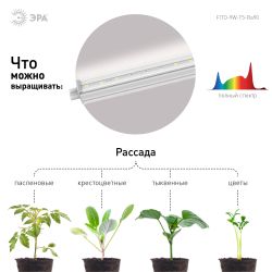 Светильник для растений, фитолампа светодиодная линейная ЭРА FITO-9W-T5-Ra90 полного спектра 9 Вт Т5 | Линейные фито светильники