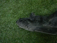 DSCN3634.JPG