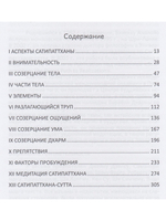Перспективы Сатипаттханы
