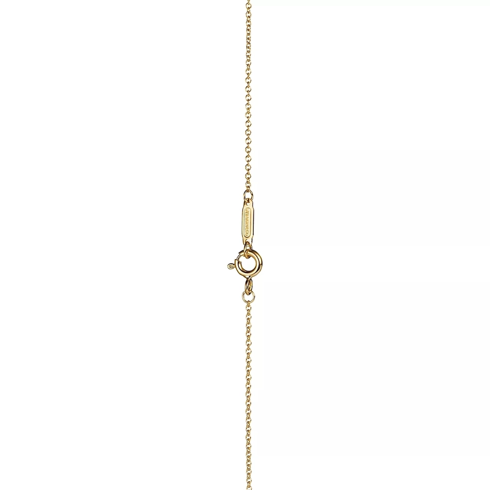 Браслет из жёлтого золота, Tiffany ✨Exlusive✨ T
