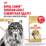 Royal Canin Siberian Adult Сибирская Эдалт Корм сухой для взрослых кошек сибирской породы от 1 года и старше 2кг