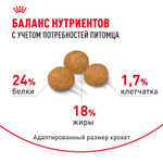 Royal Canin X-Small Adult Икс-Смол Эдалт Корм сухой для взрослых собак миниатюрных пород от 10 месяцев 3кг