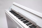 Pierre Cesar DP-17-H