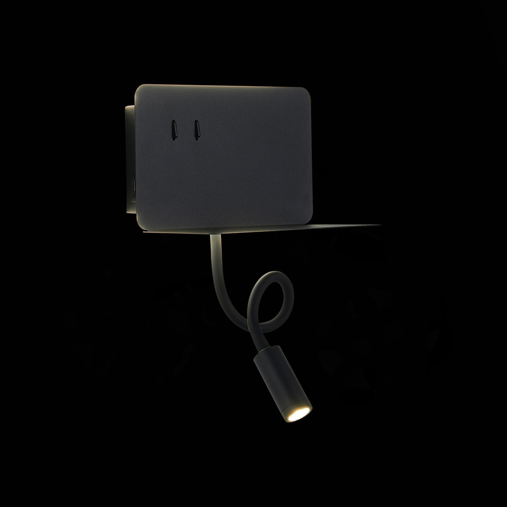 Светильник настенный ST Luce SL1576.401.02