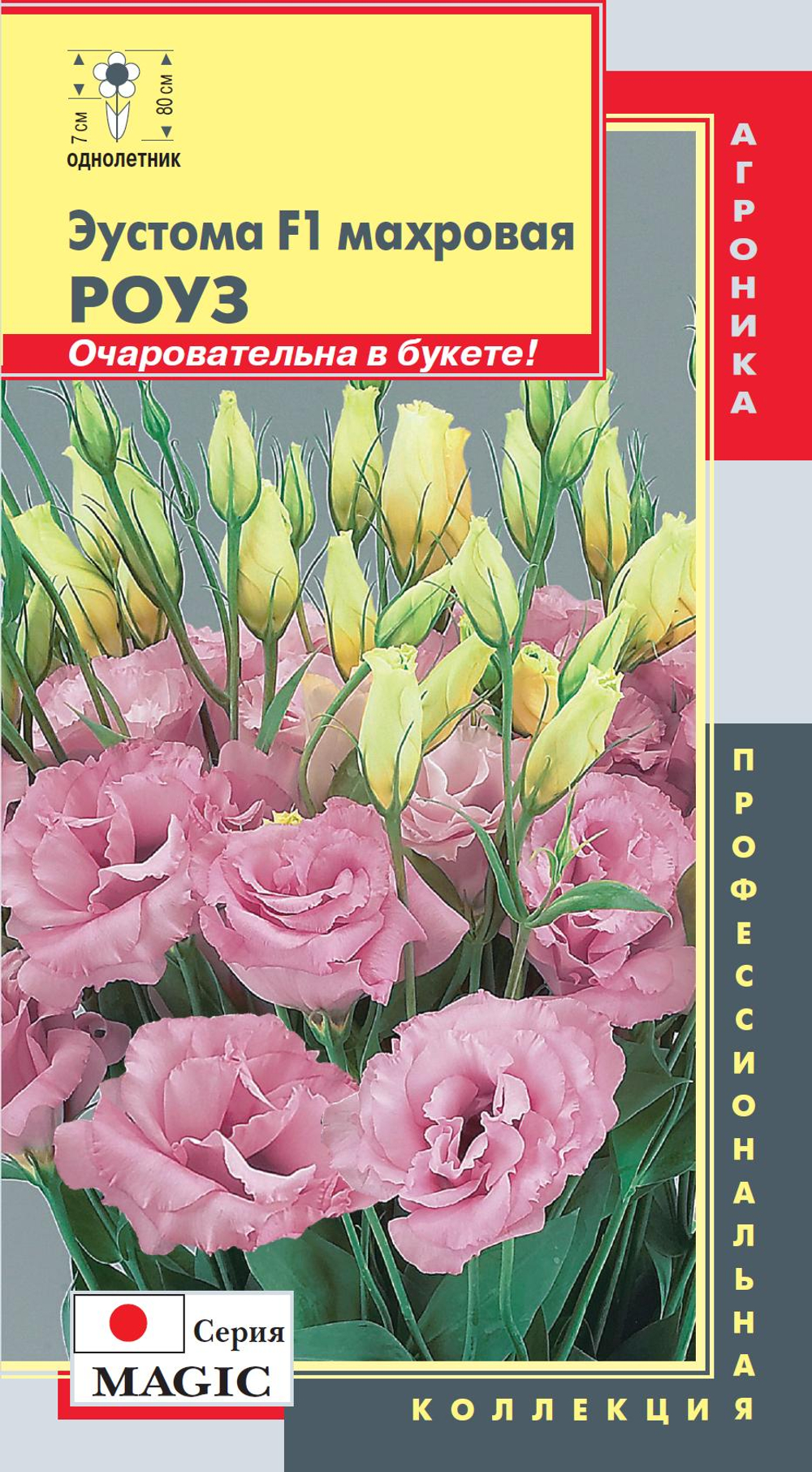 Несомненно, это самое модное растение в любом саду или доме. Цветок, который уже покорил сердца самы