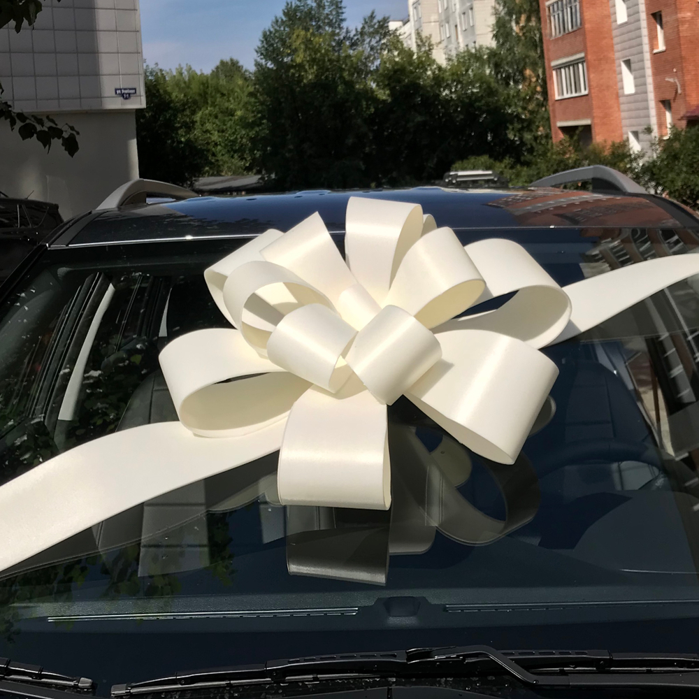 Бант большой Белый 002 50см