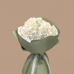 Пять белых гортензий Pure White
